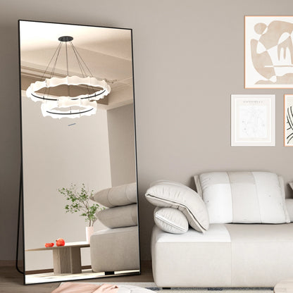Metal Frame Standing Full Length Mirror