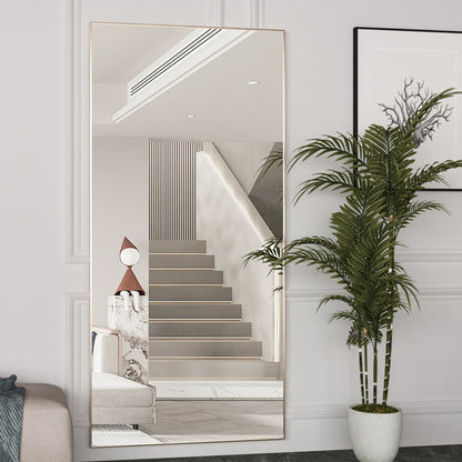 Metal Frame Standing Full Length Mirror