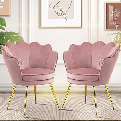 Accent Chairs Set of 2